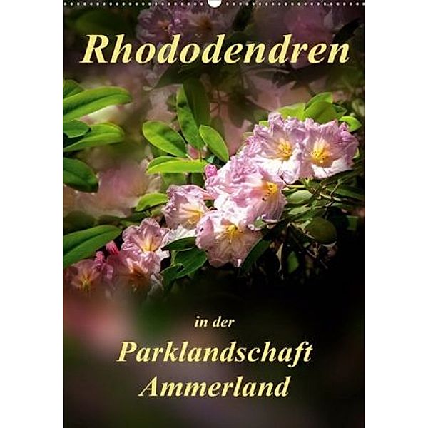 Rhododendren in der Parklandschaft Ammerland / Planer (Wandkalender 2020 DIN A2 hoch), Peter Roder