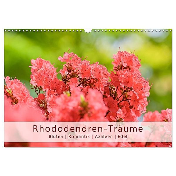 Rhododendren-Träume, Blüten, Romantik, Azaleen, Edel (Wandkalender 2024 DIN A3 quer), CALVENDO Monatskalender, Rainer Plett