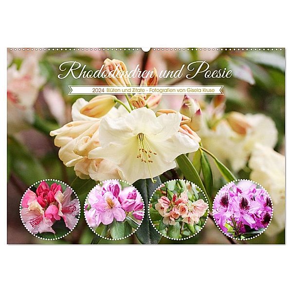 Rhododendren und Poesie (Wandkalender 2024 DIN A2 quer), CALVENDO Monatskalender, Gisela Kruse