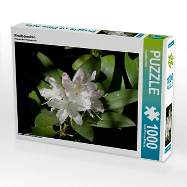 Rhododendron (Puzzle), Angelika keller