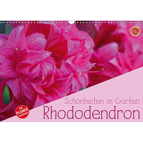 Rhododendron Schönheiten im Garten (Wandkalender 2019 DIN A3 quer), Martina Cross