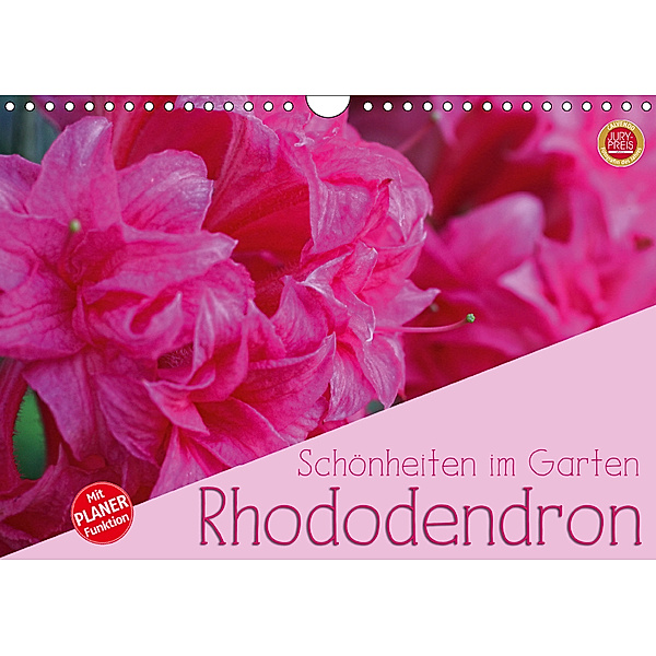 Rhododendron Schönheiten im Garten (Wandkalender 2019 DIN A4 quer), Martina Cross