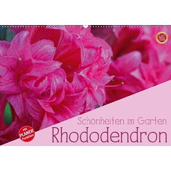 Rhododendron Schönheiten im Garten (Wandkalender 2020 DIN A2 quer), Martina Cross