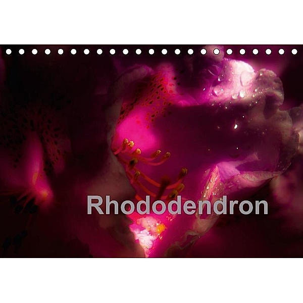 Rhododendron (Tischkalender 2017 DIN A5 quer), Erwin Renken