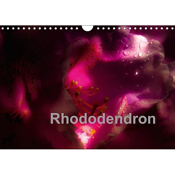 Rhododendron (Wandkalender 2017 DIN A4 quer), Erwin Renken
