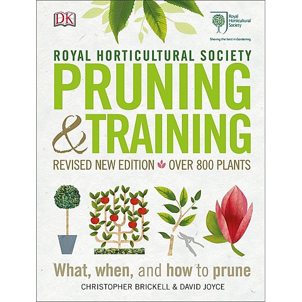 RHS Pruning and Training / DK, Christopher Brickell, David Joyce