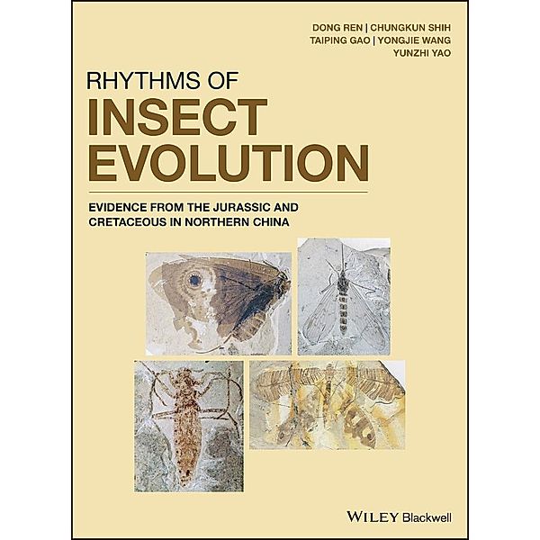 Rhythms of Insect Evolution