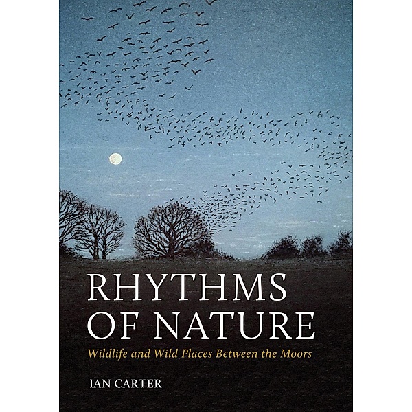 Rhythms of Nature, Ian Carter