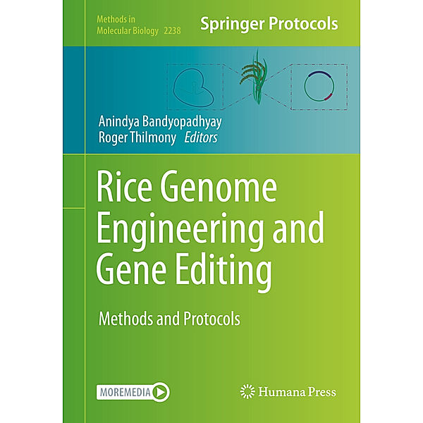 Rice Genome Engineering and Gene Editing