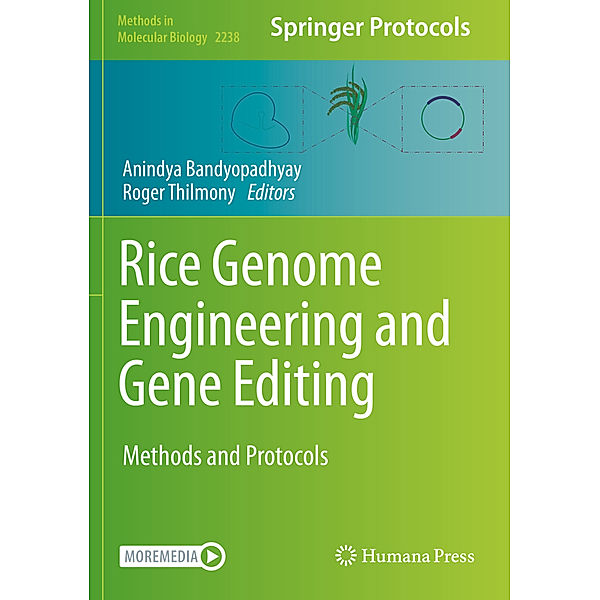 Rice Genome Engineering and Gene Editing