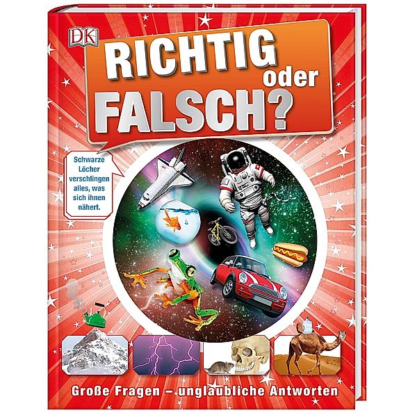 Richtig oder falsch?, Andrea Mills