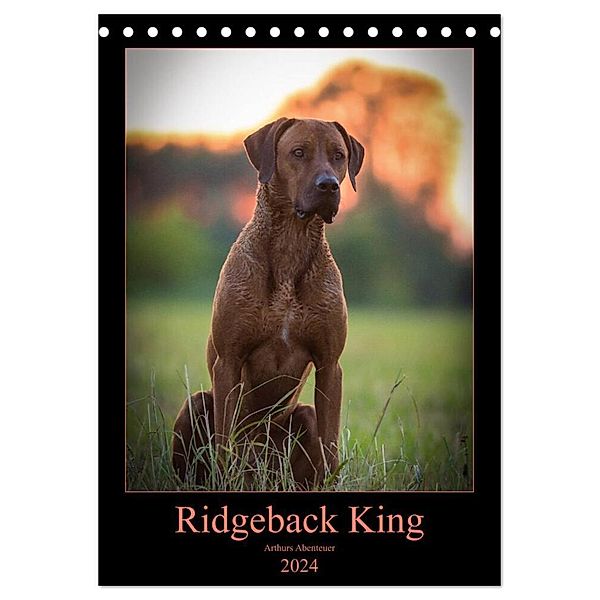 Ridgeback King - Arthurs Abenteuer (Tischkalender 2024 DIN A5 hoch), CALVENDO Monatskalender, Julia Sölter
