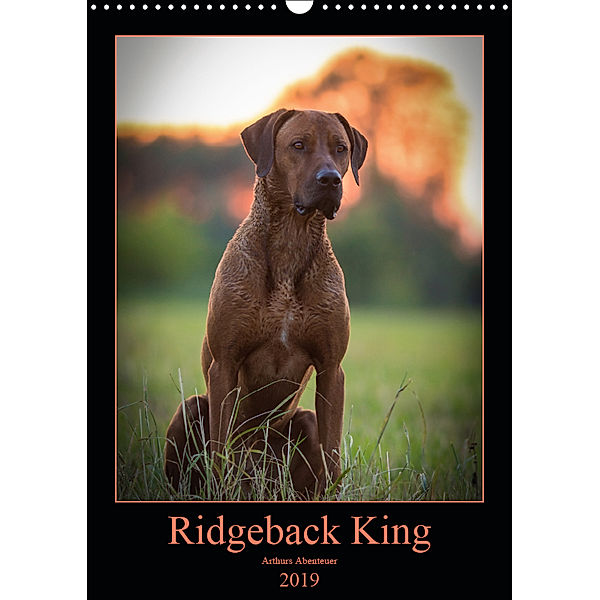 Ridgeback King - Arthurs Abenteuer (Wandkalender 2019 DIN A3 hoch), Julia Sölter