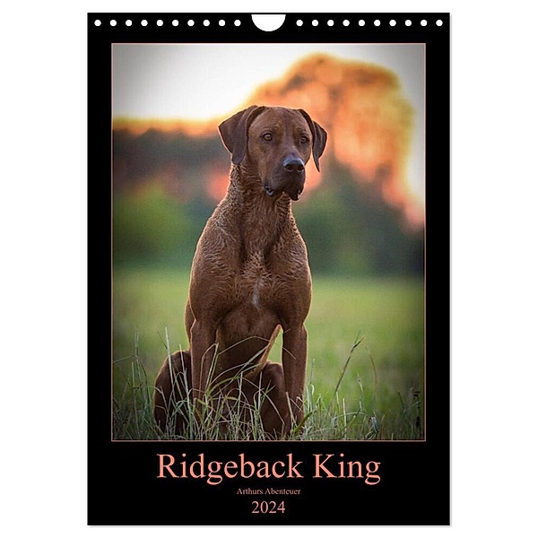 Ridgeback King - Arthurs Abenteuer (Wandkalender 2024 DIN A4 hoch), CALVENDO Monatskalender, Julia Sölter
