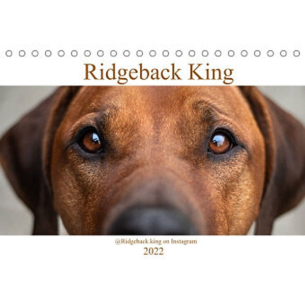 Ridgeback King (Tischkalender 2022 DIN A5 quer), Julia Sölter