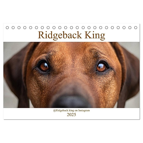Ridgeback King (Tischkalender 2025 DIN A5 quer), CALVENDO Monatskalender, Calvendo, Julia Sölter