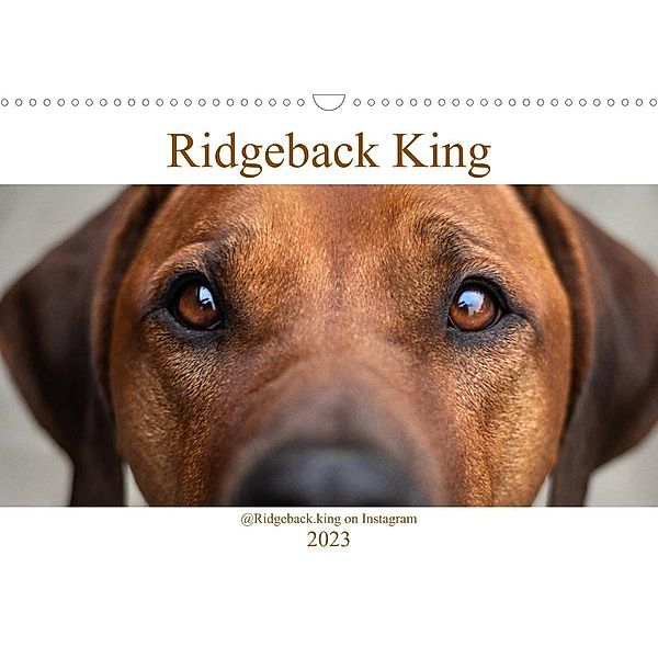 Ridgeback King (Wandkalender 2023 DIN A3 quer), Julia Sölter