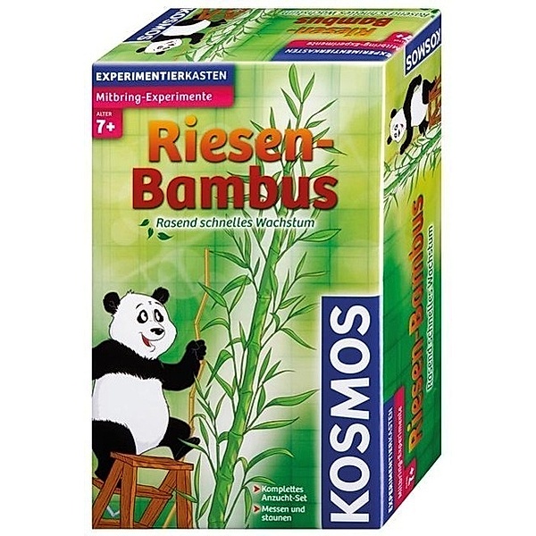 Riesen-Bambus (Experimentierkasten)