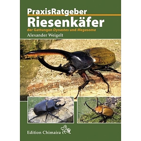 Riesenkäfer der Gattungen Dynastes und Megasoma, Alexander Weigelt