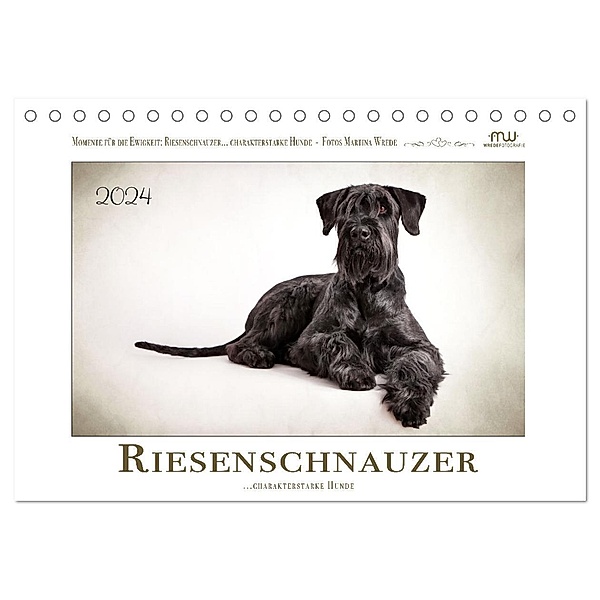 Riesenschnauzer... charakterstarke Hunde (Tischkalender 2024 DIN A5 quer), CALVENDO Monatskalender, Martina Wrede - Wredefotografie