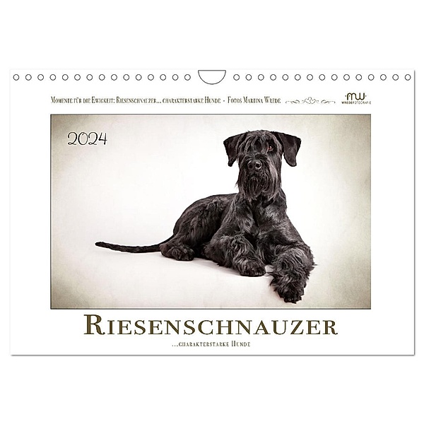 Riesenschnauzer... charakterstarke Hunde (Wandkalender 2024 DIN A4 quer), CALVENDO Monatskalender, Martina Wrede - Wredefotografie