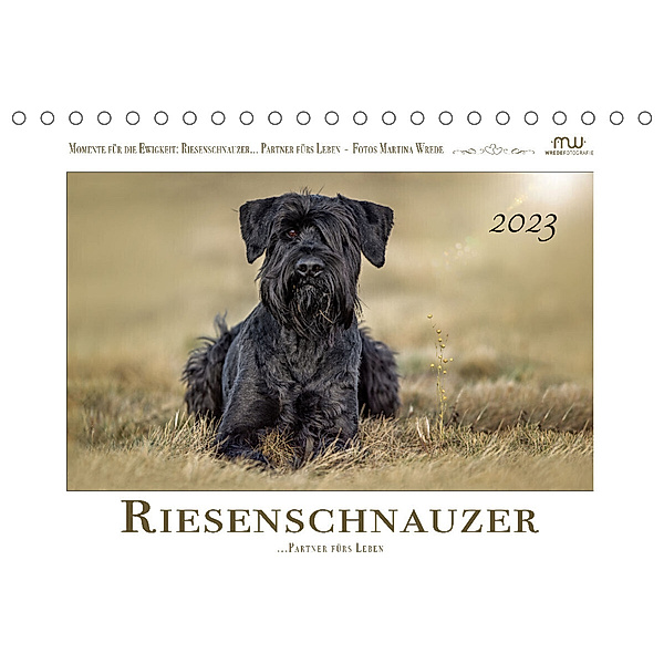 Riesenschnauzer - Partner fürs Leben (Tischkalender 2023 DIN A5 quer), Martina Wrede - Wredefotografie