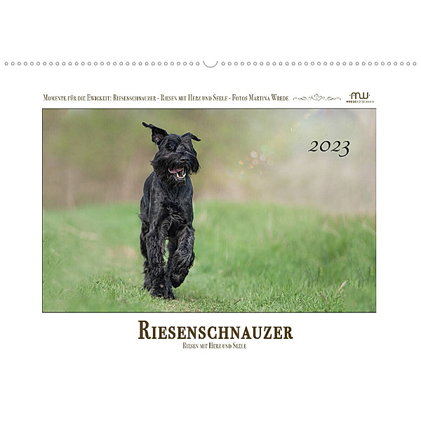 Riesenschnauzer - Riesen mit Herz und Seele (Wandkalender 2023 DIN A2 quer), Martina Wrede