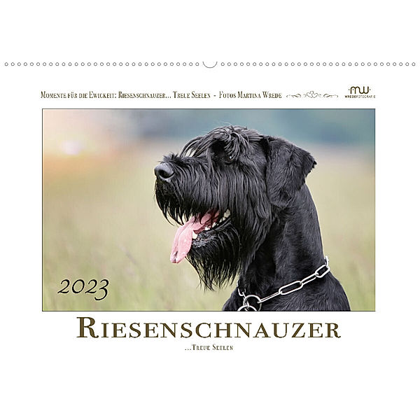 Riesenschnauzer... Treue Seelen (Wandkalender 2023 DIN A2 quer), Martina Wrede - Wredefotografie