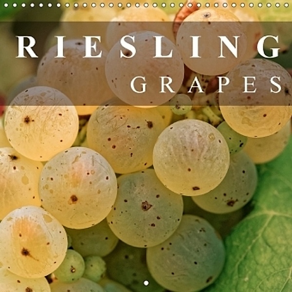 Riesling Grapes (Wall Calendar 2017 300 × 300 mm Square), Dieter Meyer