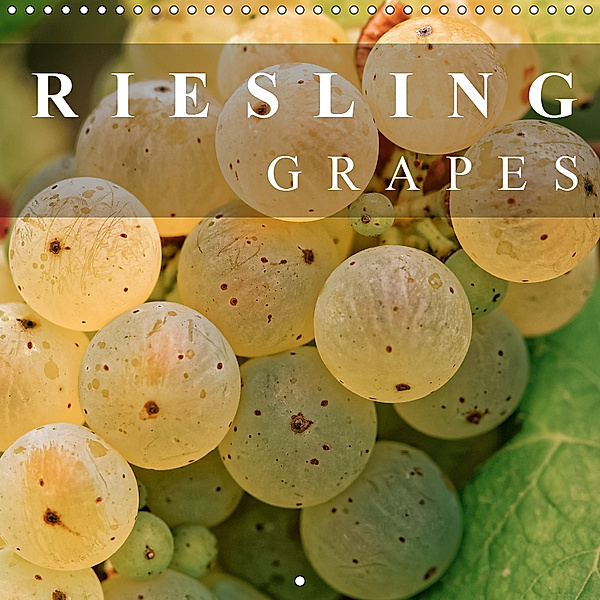 Riesling Grapes (Wall Calendar 2019 300 × 300 mm Square), Dieter Meyer