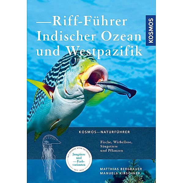 Riff-Führer Indischer Ozean und Westpazifik, Matthias Bergbauer