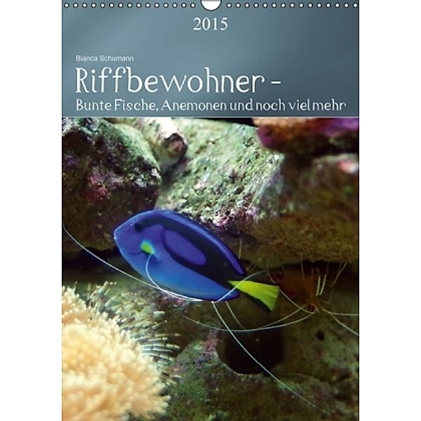 Riffbewohner - Bunte Fische, Anemonen und noch viel mehrAT-Version (Wandkalender 2015 DIN A3 hoch), Bianca Schumann