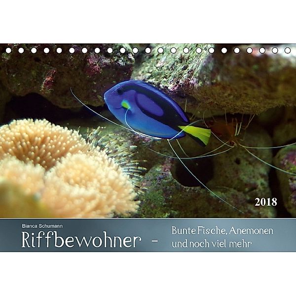 Riffbewohner - Bunte Fische, Anemonen und noch viel mehrAT-Version (Tischkalender 2018 DIN A5 quer), Bianca Schumann