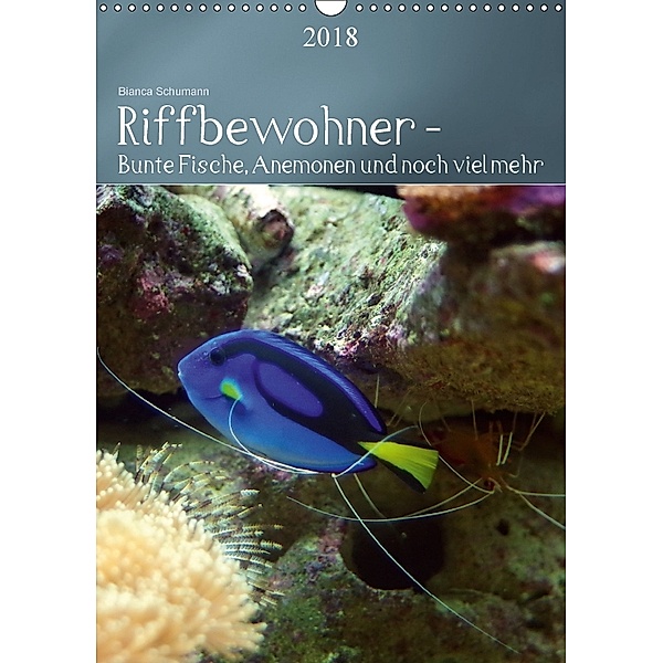 Riffbewohner - Bunte Fische, Anemonen und noch viel mehrAT-Version (Wandkalender 2018 DIN A3 hoch), Bianca Schumann