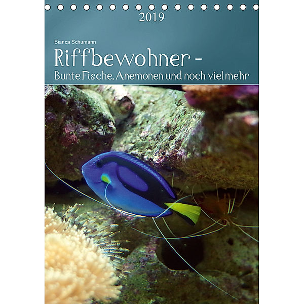 Riffbewohner - Bunte Fische, Anemonen und noch viel mehrAT-Version (Tischkalender 2019 DIN A5 hoch), Bianca Schumann
