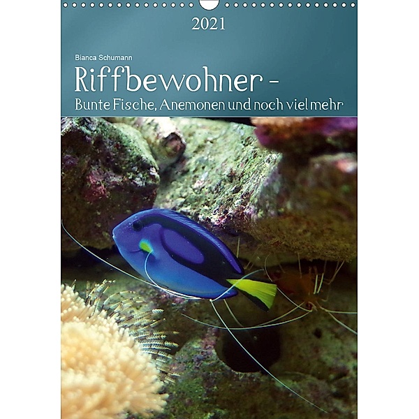 Riffbewohner - Bunte Fische, Anemonen und noch viel mehrAT-Version (Wandkalender 2021 DIN A3 hoch), Bianca Schumann