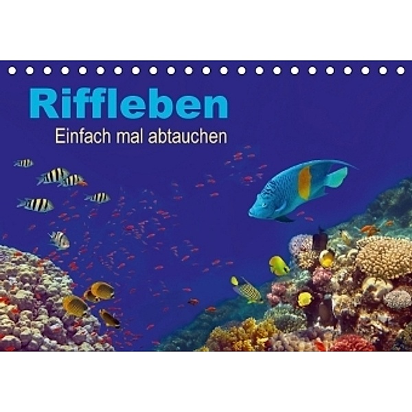 Riffleben - Einfach mal abtauchen (Tischkalender 2017 DIN A5 quer), Tina Melz