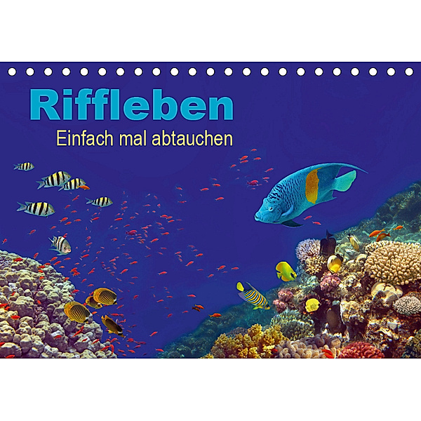 Riffleben - Einfach mal abtauchen (Tischkalender 2019 DIN A5 quer), Tina Melz