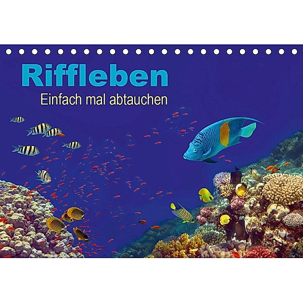 Riffleben - Einfach mal abtauchen (Tischkalender 2021 DIN A5 quer), Tina Melz