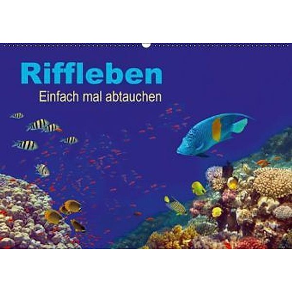 Riffleben - Einfach mal abtauchen (Wandkalender 2016 DIN A2 quer), Tina Melz