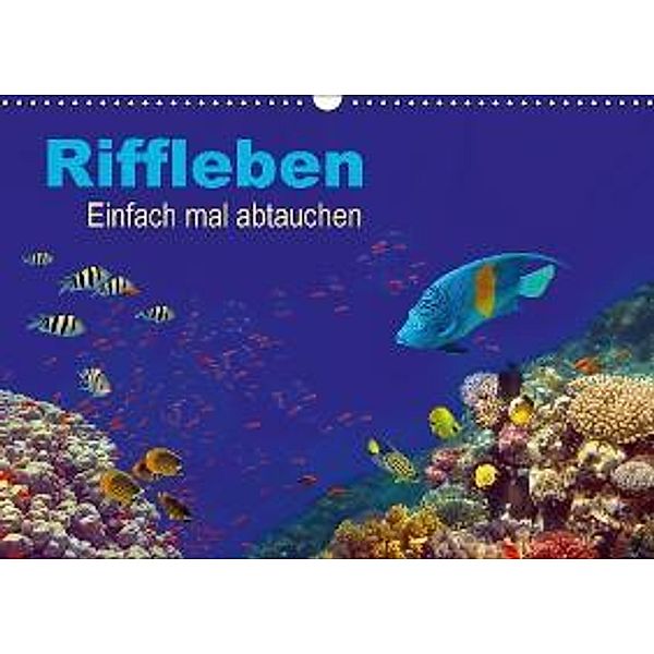 Riffleben - Einfach mal abtauchen (Wandkalender 2016 DIN A3 quer), Tina Melz