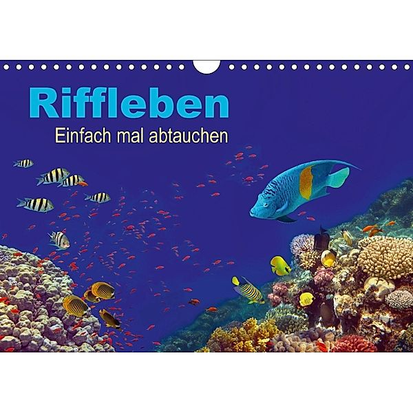 Riffleben - Einfach mal abtauchen (Wandkalender 2018 DIN A4 quer), Tina Melz