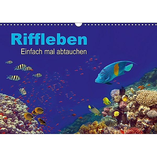 Riffleben - Einfach mal abtauchen (Wandkalender 2018 DIN A3 quer), Tina Melz