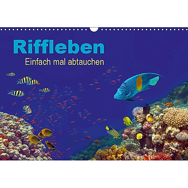 Riffleben - Einfach mal abtauchen (Wandkalender 2019 DIN A3 quer), Tina Melz