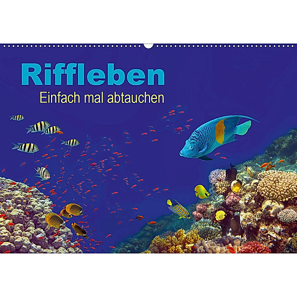 Riffleben - Einfach mal abtauchen (Wandkalender 2020 DIN A2 quer), Tina Melz