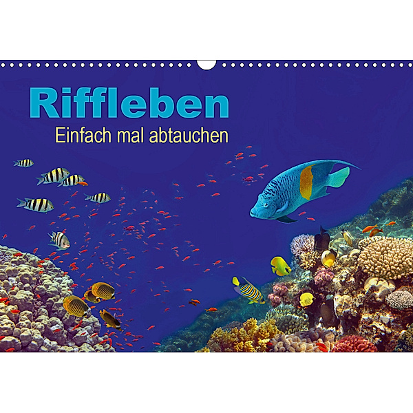 Riffleben - Einfach mal abtauchen (Wandkalender 2020 DIN A3 quer), Tina Melz