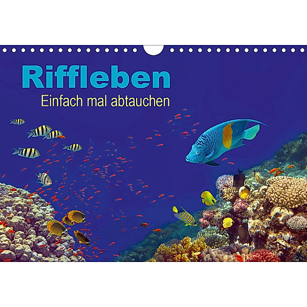 Riffleben - Einfach mal abtauchen (Wandkalender 2020 DIN A4 quer), Tina Melz
