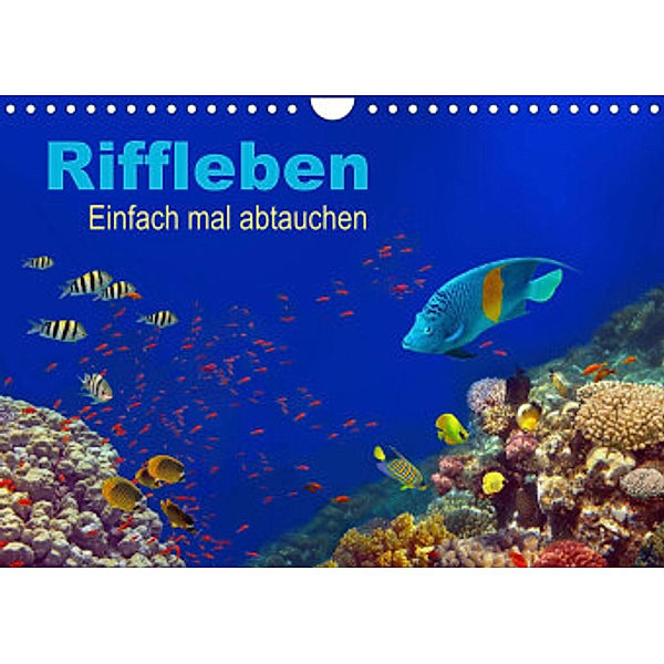 Riffleben - Einfach mal abtauchen (Wandkalender 2022 DIN A4 quer), Tina Melz