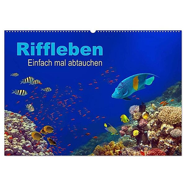 Riffleben - Einfach mal abtauchen (Wandkalender 2025 DIN A2 quer), CALVENDO Monatskalender, Calvendo, Tina Melz