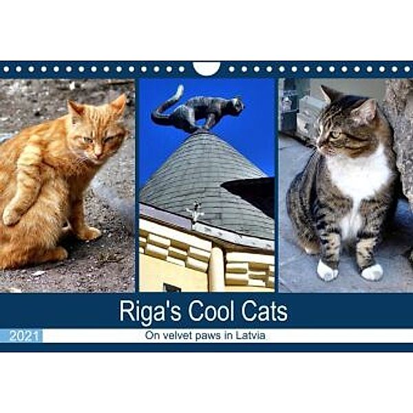 Riga's Cool Cats - On velvet paws in Latvia (Wall Calendar 2021 DIN A4 Landscape), Henning von Löwis of Menar